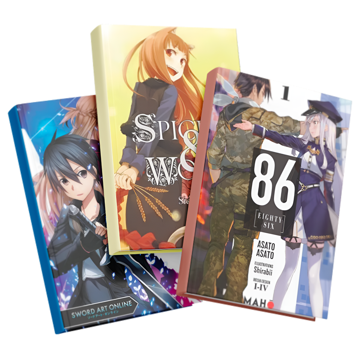 Couvertures de Light Novels