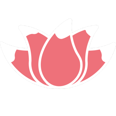 Novel'Star Logo